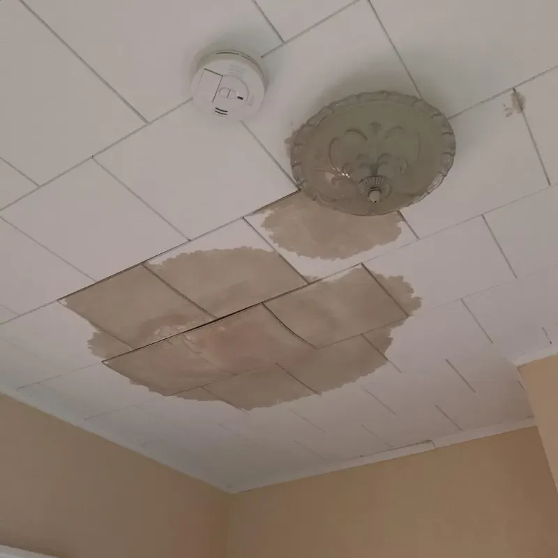Ceiling Water Damage Repair in Hawley, MN