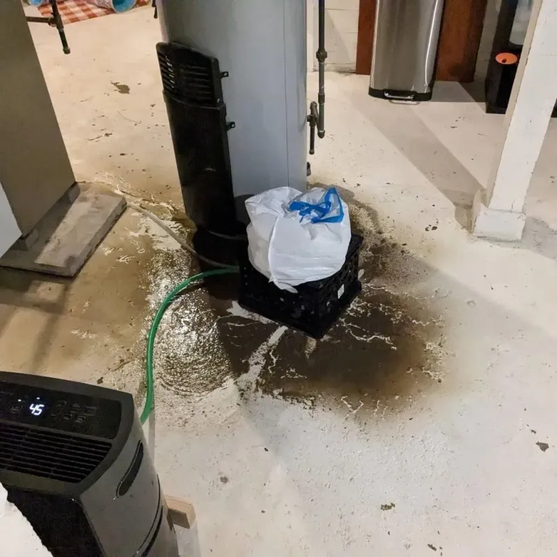 Sewage Backup Cleanup Service in Hawley, MN